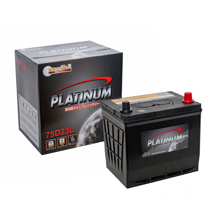 Bình Ắc quy ô tô Platinum